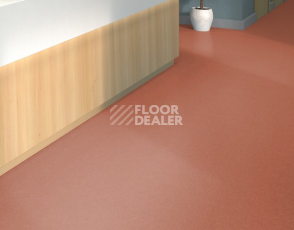 Tarkett iq Melodia 2619 фото 2 | FLOORDEALER